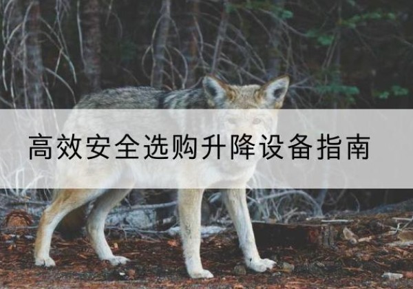 祁阳升降货梯厂家推荐-*安全选购升降设备指南