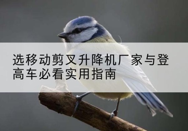 祁阳电动升降机厂家-选移动剪叉升降机厂家与登高车必看实用指南