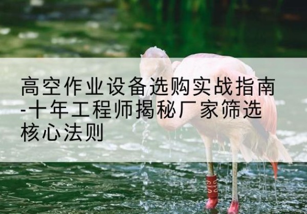 祁阳剪叉式升降机厂家-高空作业设备选购实战指南-十年工程师揭秘厂家筛选核心法则